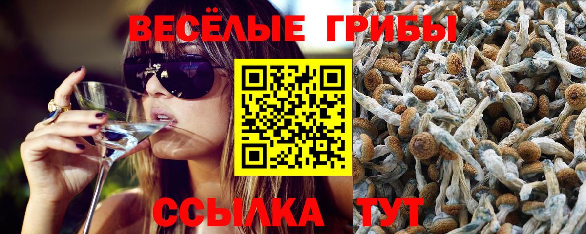 Псилоцибиновые грибы мицелий Советский